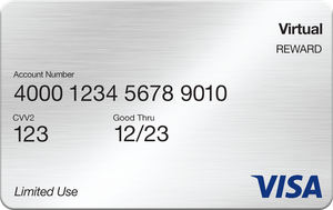 Virtual Promotional Prepaid Visa USD MX